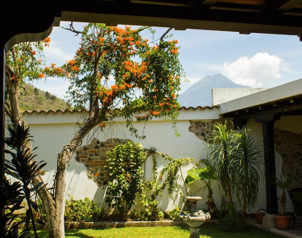 La Casa De Don Pedro Hotel Antigua Екстериор снимка